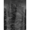 10-11154.302