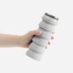 10-17491.10