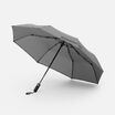 10-20699.10