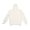 40-171901S