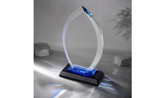 Награда "Flame"