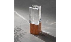 Награда "Wood and glass"